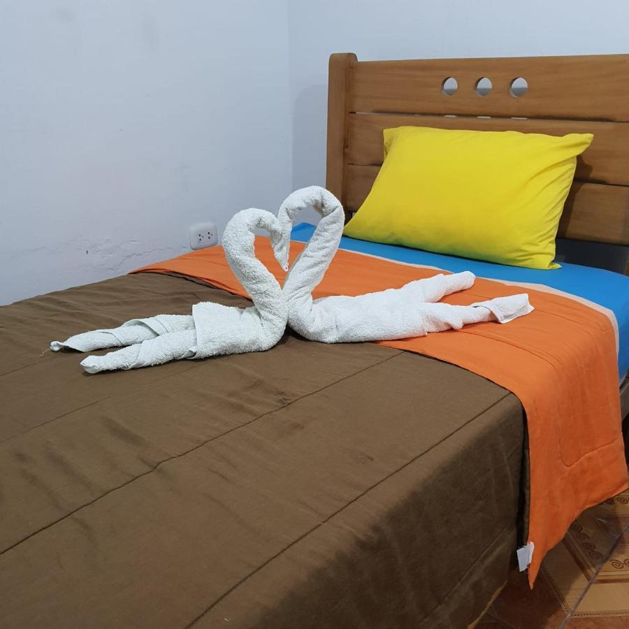 Airport With Free Pick Up From The Airport Hostel