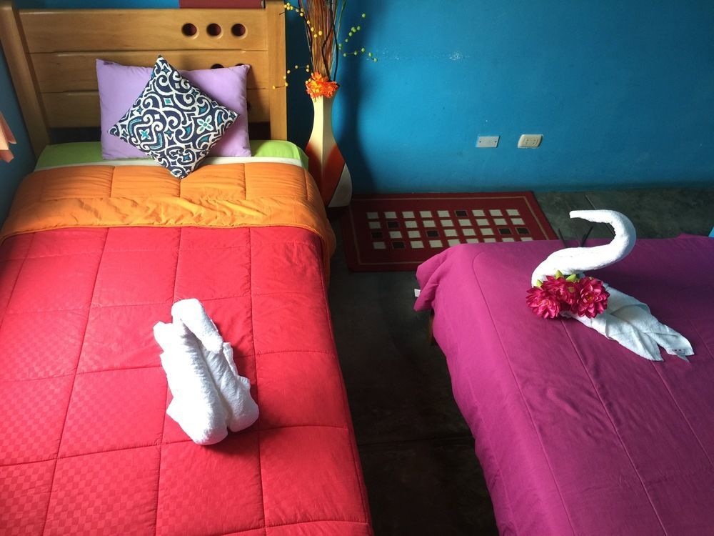 Airport With Free Pick Up From The Airport Hostel *